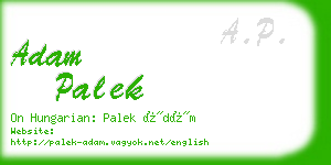 adam palek business card